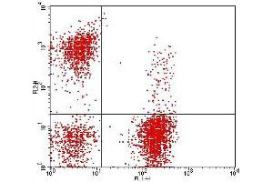 Flow Cytometry (FACS) image for anti-CD3, CD16&56 antibody (FITC,PE) (ABIN2144407) (CD3, CD16&56 抗体 (FITC,PE))