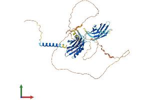 Protein Structure (PS) image for Synaptotagmin XIV (SYT14) (AA 1-555) protein (His tag) (ABIN7558225)