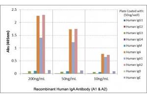 ELISA of human immunoglobulins shows the recombinant Human IgA antibody reacts to both IgA1 & IgA2. (Recombinant 兔 anti-人 IgA1,2 Antibody)
