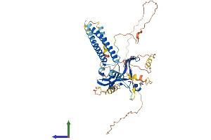 Protein Structure (PS) image for TAF7-Like RNA Polymerase II, TATA Box Binding Protein (TBP)-Associated Factor, 50kDa (TAF7L) (AA 1-462) protein (His tag) (ABIN7544112)