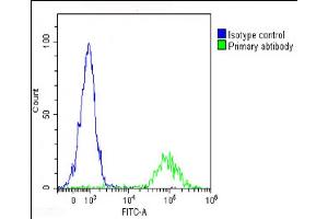 Overlay histogram showing Raji cells stained with (ABIN652257 and ABIN2841071)(green line). (IL1A 抗体  (AA 177-206))