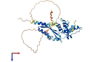 DEDD2 Protein (AA 1-326) (His tag)