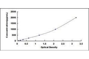 ELISA image for Chemokine (C-X-C Motif) Ligand 10 (CXCL10) ELISA Kit (ABIN415089)