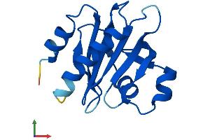 Protein Structure (PS) image for Profilin 3 (PFN3) (AA 1-137) protein (His tag) (ABIN7551060)