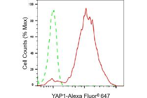 Flow cytometric analysis of YAP1 expression in HepG2 cells using YAP1 antibody (ABIN7800883), 1:2,000). (Recombinant YAP1 抗体)