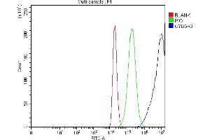 anti-Cytochrome B5 Reductase 3 (CYB5R3) (AA 24-301) antibody