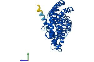 AlphaFold protein structure predicition of Mouse Recombinant Fdps Protein, UniprotID Q920E5