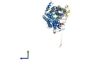 Protein Structure (PS) image for Solute Carrier Organic Anion Transporter Family, Member 6A1 (SLCO6A1) (AA 1-719) protein (His tag) (ABIN7546218)