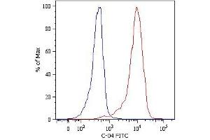 Intracellular Flow Cytometry analysis Intracellular flow cytometry analysis of cytokeratin expression in HeLa human cervix carcinoma cell line using anti-Cytokeratin 18 () FITC. (Cytokeratin 18 抗体  (Biotin))