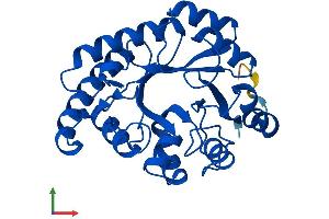 Protein Structure (PS) image for Hydroxypyruvate Isomerase (Putative) (HYI) (AA 1-277) protein (His tag) (ABIN7548490)