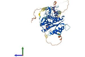 AlphaFold protein structure predicition of Mouse Recombinant Atg4d Protein, UniprotID Q8BGV9