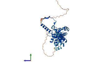 Protein Structure (PS) image for Mitochondrial Ribosomal Protein S22 (MRPS22) (AA 1-360) protein (His tag) (ABIN7551586)
