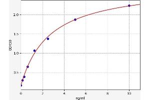 Typical standard curve (ATP-Binding Cassette, Sub-Family B (MDR/TAP), Member 1A (ABCB1A) ELISA 试剂盒)