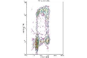 Flow cytometric analysis of the BrdU labeled fraction in a tissue cell culture. (BrdU 抗体)