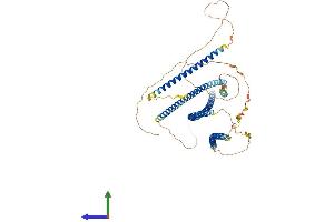 AlphaFold protein structure predicition of Human Recombinant TNIP1 Protein, UniprotID Q15025