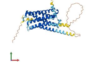 AlphaFold protein structure predicition of Human Recombinant HTR1E Protein, UniprotID P28566