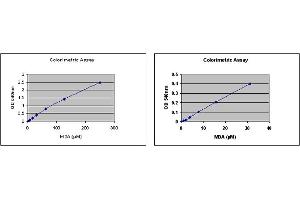 Immunoassay (IA) image for OxiSelect™ TBARS Assay Kit (MDA Quantitation) (ABIN2344986)