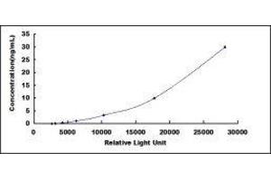 Typical standard curve (CYFRA21.1 CLIA Kit)