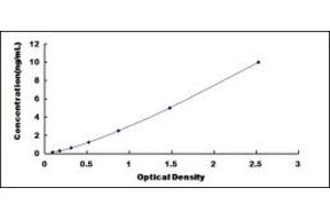 Typical standard curve (TTF1 ELISA 试剂盒)