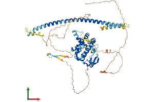 Protein Structure (PS) image for Rac GTPase Activating Protein 1 (RACGAP1) (AA 1-628) protein (His tag) (ABIN7565248)