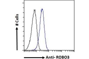 Flow Cytometry (FACS) image for anti-Roundabout, Axon Guidance Receptor, Homolog 3 (ROBO3) (Internal Region) antibody (ABIN5539585)