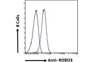 ABIN5539585 Flow cytometric analysis of paraformaldehyde fixed U2OS cells (blue line), permeabilized with 0. (ROBO3 抗体  (Internal Region))