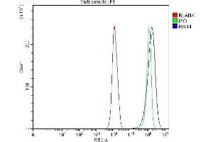 Flow Cytometry analysis of PC-3 cells using anti-RAI14 antibody (ABIN7601980). (RAI14 抗体  (AA 53-680))