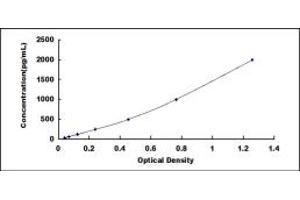 Typical standard curve (HIF1AN ELISA 试剂盒)