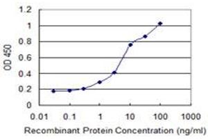 Detection limit for recombinant GST tagged CDR2 is 0. (CDR2 抗体  (AA 1-454))