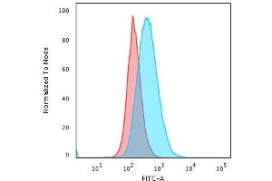 Flow Cytometric Analysis of PFA-fixed Raji cells. (HLA-DPB1 抗体)