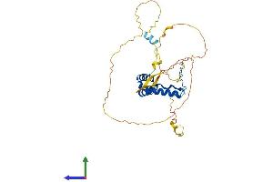 Protein Structure (PS) image for SRY (Sex Determining Region Y)-Box 12 (SOX12) (AA 1-315) protein (His tag) (ABIN7546296)