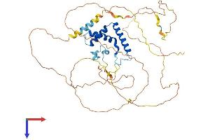 TCF7L2 Protein (AA 1-459) (His tag)