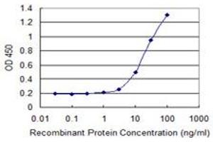 Detection limit for recombinant GST tagged HOXB9 is 1 ng/ml as a capture antibody. (HOXB9 抗体  (AA 65-163))