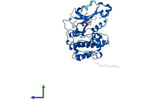 Protein Structure (PS) image for Protein Kinase, X-Linked (PRKX) (AA 1-355) protein (His tag) (ABIN7560237)
