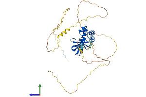 AlphaFold protein structure predicition of Human Recombinant SASH3 Protein, UniprotID O75995
