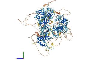 Protein Structure (PS) image for Ring Finger Protein 17 (RNF17) (AA 1-1640) protein (His tag) (ABIN7564910)