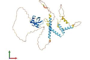 Protein Structure (PS) image for HERPUD Family Member 2 (HERPUD2) (AA 1-404) protein (His tag) (ABIN7561581)