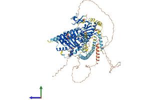 AlphaFold protein structure predicition of Human Recombinant MORC1 Protein, UniprotID Q86VD1 (MORC1 Protein (AA 1-984) (His tag))
