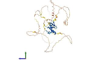Protein Structure (PS) image for GATA Binding Protein 4 (GATA4) (AA 1-441) protein (His tag) (ABIN7563610)