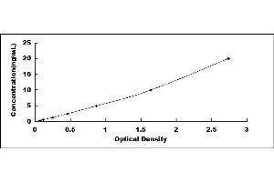 Typical standard curve (TUBB ELISA 试剂盒)