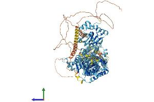 AlphaFold protein structure predicition of Mouse Recombinant Atp2b4 Protein, UniprotID Q6Q477 (ATP2B4 Protein (AA 1-1205) (His tag))