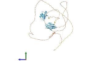 Protein Structure (PS) image for serine/arginine-Rich Splicing Factor 4 (SRSF4) (AA 1-494) protein (His tag) (ABIN7546316)