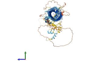 Protein Structure (PS) image for F-Box Protein 10 (FBXO10) (AA 1-956) protein (His tag) (ABIN7553906)