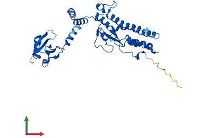 AlphaFold protein structure predicition of Human Recombinant DFFB Protein, UniprotID O76075