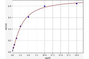 Apelin Receptor ELISA 试剂盒