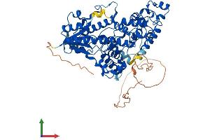 Protein Structure (PS) image for Cryptochrome 2 (Photolyase-Like) (CRY2) (AA 1-592) protein (His tag) (ABIN7565183)