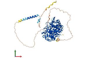 Protein Structure (PS) image for Mannosidase, Alpha, Class 1B, Member 1 (MAN1B1) (AA 1-658) protein (His tag) (ABIN7561918)