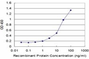 Detection limit for recombinant GST tagged LAIR1 is approximately 1ng/ml as a capture antibody. (LAIR1 抗体  (AA 188-287))