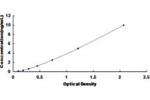 Typical standard curve (MAF ELISA 试剂盒)