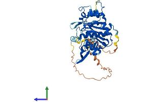 Protein Structure (PS) image for LFNG O-Fucosylpeptide 3-beta-N-Acetylglucosaminyltransferase (LFNG) (AA 1-379) protein (His tag) (ABIN7549058)